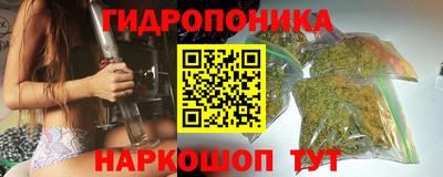 a pvp Пугачёв