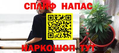 a pvp Пугачёв