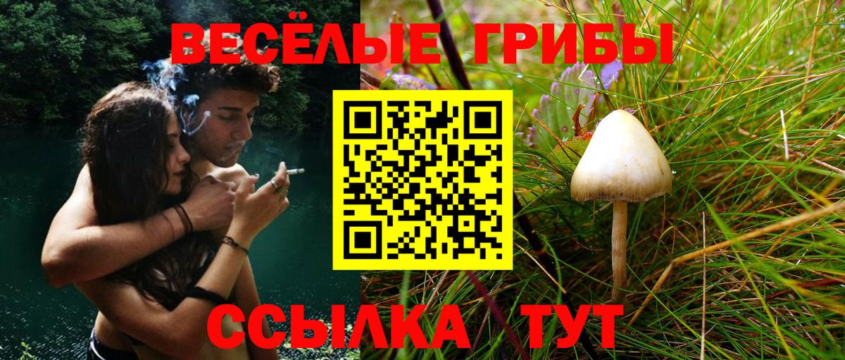 Галлюциногенные грибы мухоморы  Галлюциногенные грибы мухоморы  где купить   Вход с VPN  Протвино 